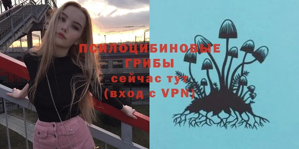 ешки Новодвинск