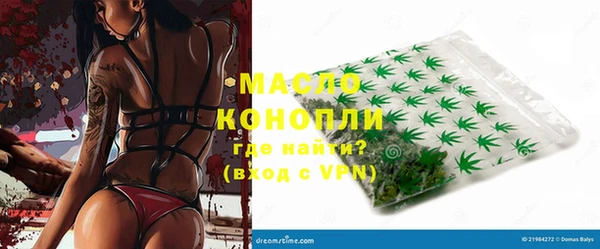 ешки Новодвинск