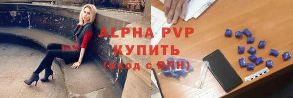 ешки Новодвинск
