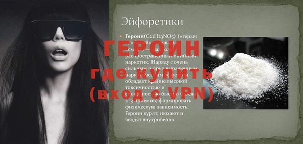 индика Новозыбков