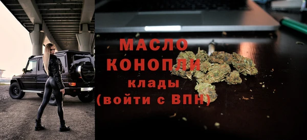 индика Новозыбков
