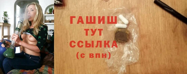 индика Новозыбков