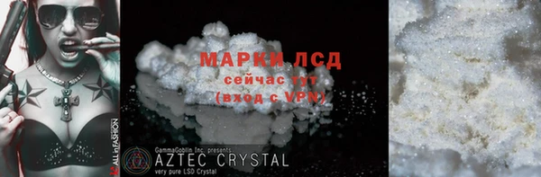 индика Новозыбков