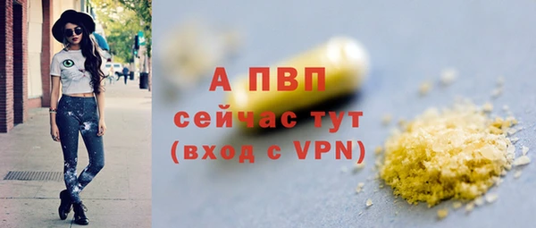 СК Новокубанск