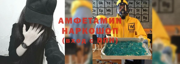 ешки Новодвинск