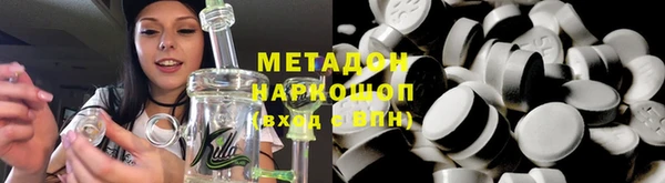 индика Новозыбков