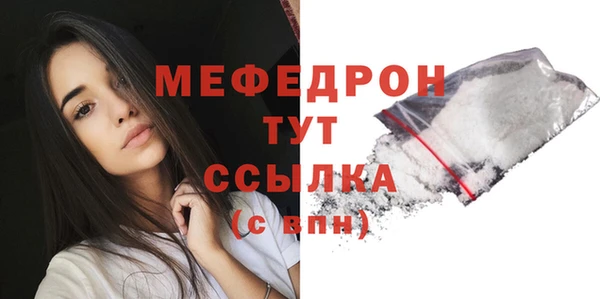 индика Новозыбков