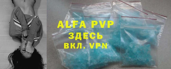 индика Новозыбков