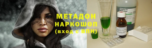 индика Новозыбков