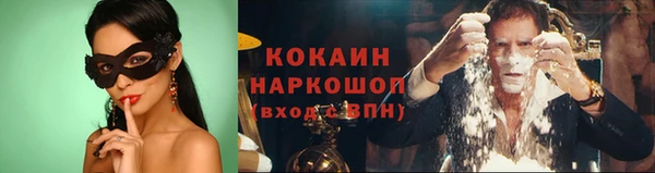 индика Новозыбков