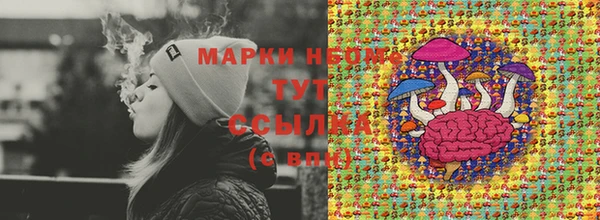 индика Новозыбков