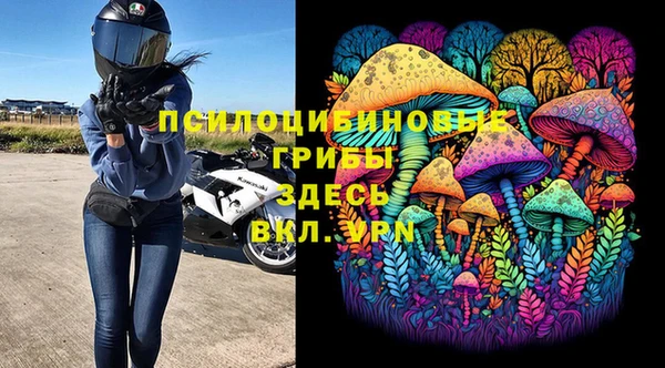 СК Новокубанск