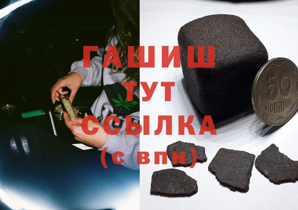 индика Новозыбков