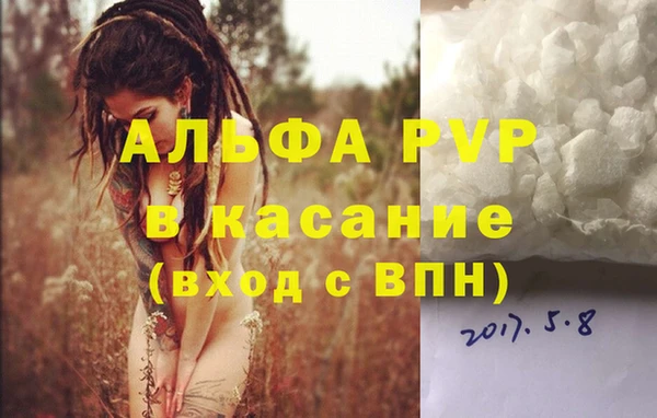СК Новокубанск