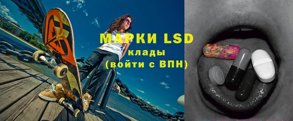 ешки Новодвинск
