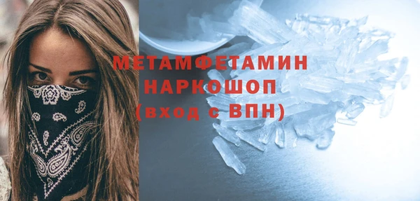 индика Новозыбков