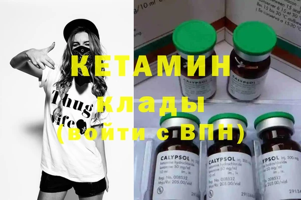 индика Новозыбков