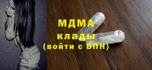 индика Новозыбков