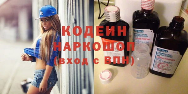 индика Новозыбков