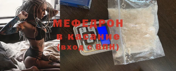 индика Новозыбков